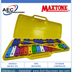 XILÓFONO – CROMÁTICO METALOFONO 25 TONOS EN ESTUCHE INCLUYE MAZOS