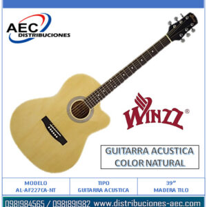 GUITARRA ACÚSTICA COLOR NATURAL – MADERA DE TILO DE 39″ – WINZZ