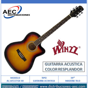GUITARRA ACÚSTICA COLOR RESPLANDOR – MADERA DE TILO DE 39″ – WINZZ