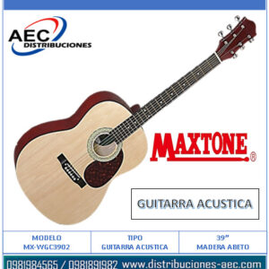GUITARRA ACÚSTICA CON CHAPA LAMINADA DE MADERA DE ABETO Y SAPELI / DE 39" CON ESTUCHE
