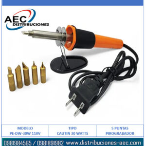 CAUTÍN MANGO PLASTICO 30 WATTS PLUG AT 5 PUNTAS INTERCAMBIABLES 110V PIROGRABADOR
